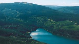 Naturlandskabet i nærheden af lejligheden