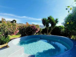 戈登湾Into the Sunset Manor的一座种植了树木的庭院里的大型蓝色游泳池