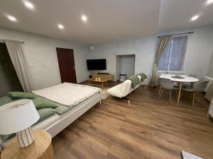 a bedroom with a bed and a table and a tv at Apartmán v Dráze in Zásada