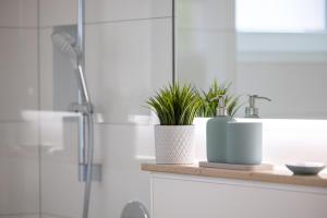 a bathroom with a shower and two plants on a counter at Fewo Wellenklang Hainer See bei Leipzig in Neukieritzsch +43 photos