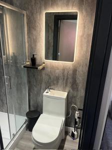 a bathroom with a toilet and a mirror on the wall at The Stadium Hotel Anfield in Liverpool