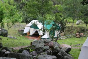 Zahrada ubytování Glamping El Establo