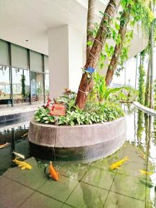 Zahrada ubytování Sweet Home - Homestay apartment system at Citadines Marina Ha Long building + 66 fotografií