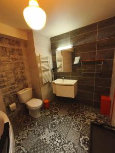 卡奥尔Le coin des Halles的带马桶和水槽的浴室