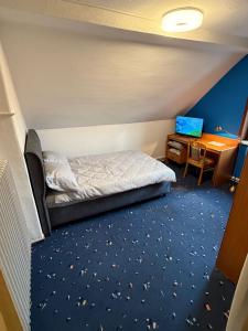 Fotografie z fotogalerie ubytování Pension Alisa 