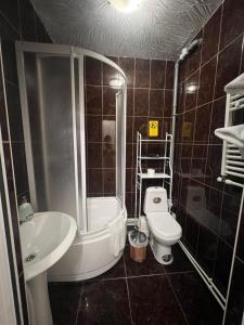 Un baño con inodoro, ducha y lavabo. en Golden Rose, en Chişinău