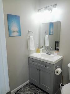 The Serene Uptown Flat في تشارلوت: حمام مزود بحوض ومِرآة