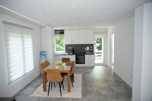 Kuchyň nebo kuchyňský kout v ubytování Villa Tea - Slatina