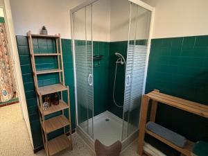 a bathroom with a shower with green walls at Gîte Le Chicateou in Le Dévoluy +32 photos