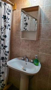 y baño con lavabo, espejo y cortina de ducha. en Cabañas Matices, en El Calafate 32 fotos más