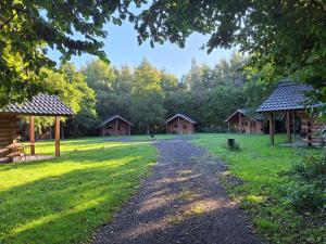 a path leading to cabins in a park at Vakantiepark Zwartemeer in Zwartemeer