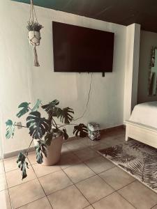 Una televisión o centro de entretenimiento en Charming Boutique Apartment in San Sebastian,