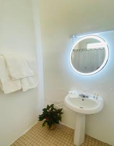 Et badeværelse på Tropical Studio Boutique - Cerca de Gozalandia