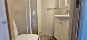 um pequeno banheiro com um vaso sanitário e uma pia em Spacious holiday home in Ellos 300 m to a beautiful sandy beach em Ellös mais 25 fotografias