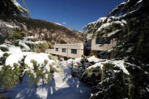 Příroda nedaleko apartmánu