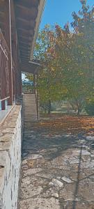 Φωτογραφία από το άλμπουμ του Μενελαϊς 