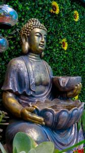 Zahrada ubytování Onzo Yamy