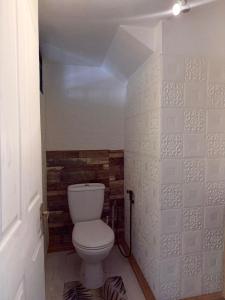 Un baño con un inodoro blanco en una habitación. en Casa Marina- Flic en Flac - Beach is right in front of the Villa-Just cross the road, en Flic en Flac 15 fotos más