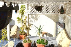 un patio con piante in vaso su un tavolo di Dar Mojo ad Aourir