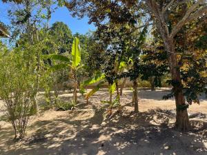 Κήπος έξω από το Sitio do Piquira