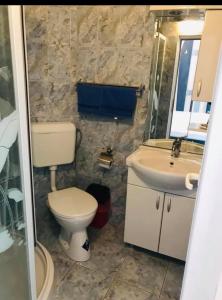 Koupelna v ubytování Pensiunea La Gheorghiță Fundata