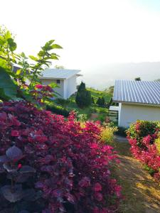 un giardino di fiori di fronte a una casa di Phumokdokmai Resort a Ban Seng Choi