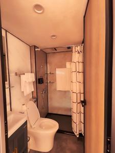 Sky Dome - Alushllari's Farm في بورغراديك: حمام صغير مع مرحاض ودش