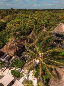 an aerial view of a resort with palm trees at Playa Esperanza Tulum in Tulum