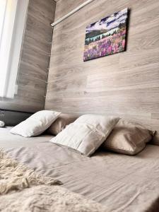 ein Bett mit Kissen und einem Gemälde an der Wand in der Unterkunft CasaCanem in Chişinău
