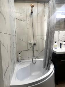 ein Badezimmer mit einer Badewanne mit Duschvorhang in der Unterkunft CasaCanem in Chişinău