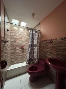 ルナウアナにあるHospedaje Cesarのバスルーム(赤いトイレ、シャワー付)