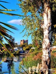 een palmboom en twee stoelen naast een rivier bij Meridian Tattershall Lakes Escape - Lakeside lodge caravan with the fishing peg LUXURY HOT TUB in Tattershall