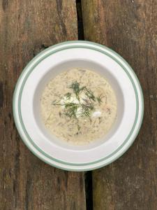 Afbeelding uit fotogalerij van Kameňácká myslivna in Moravany