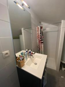 Koupelna v ubytování Appartement de caractère centre ancien Arles