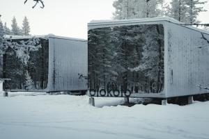 Aurora Igloo Village Ylläs Luna Suite talvel