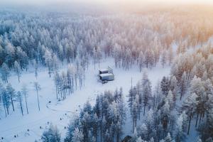 een luchtzicht op een skihut in een besneeuwd bos bij Aurora Igloo Village Ylläs Luna Suite - Hot Tub in Ylläsjärvi