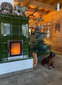 Afbeelding uit fotogalerij van Kameňácká myslivna in Moravany