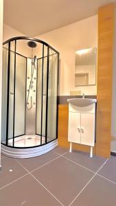 un baño con ducha y lavabo en Orléan 41 A centre-gare-aéroport, en Charleroi