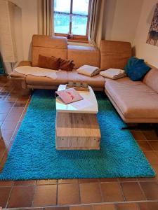 雷根Ferienhaus Alexandra的客厅里，一张蓝色地毯上摆着沙发和桌子。