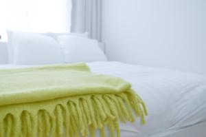 安特卫普Stylish Apartment City Center的一张床上有绿毯的床