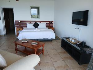 Una televisión o centro de entretenimiento en The Albatros Guesthouse