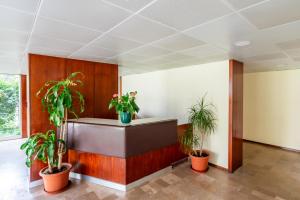 een kantoorlobby met potplanten aan de muur bij SUITEON7TH VILAMOURA THE BEST VIEW IN TOWN - 1Br in Quarteira +95 foto's