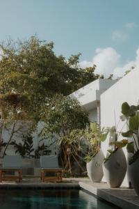 a pool with chairs and potted plants next to a building at Nico Villa in Ahangama +8 photos