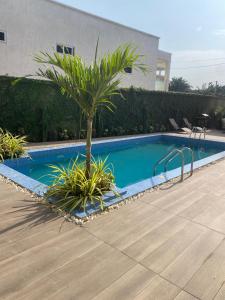 a palm tree sitting next to a swimming pool at Executive studio at East Legon in Accra