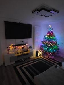 The HydeCozy bedroom 2 in a Charming London Flat的客厅配有带灯的圣诞树
