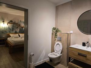 a bathroom with a toilet and a sink and a bed at Artizan Chalet in Topliţa +53 photos