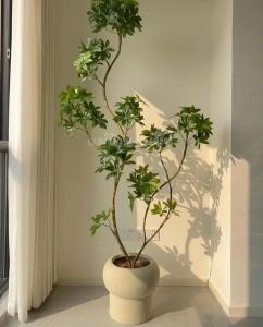 Φωτογραφία από το άλμπουμ του Luxury Eliana Hotel στην Πόλη Χο Τσι Μινχ