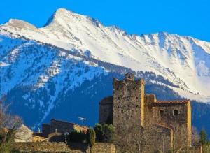 RiaAppartement à Ria-sirach的一座古老的建筑矗立在白雪皑皑的山峰前