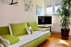 Μια τηλεόραση ή/και κέντρο ψυχαγωγίας στο Ferienhaus Feldberg im Schwarzwald