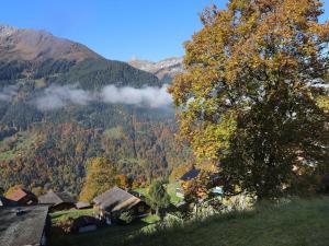 Φυσικό τοπίο κοντά σε αυτό το διαμέρισμα